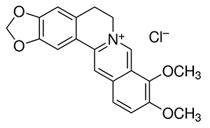 Berberine Berberine